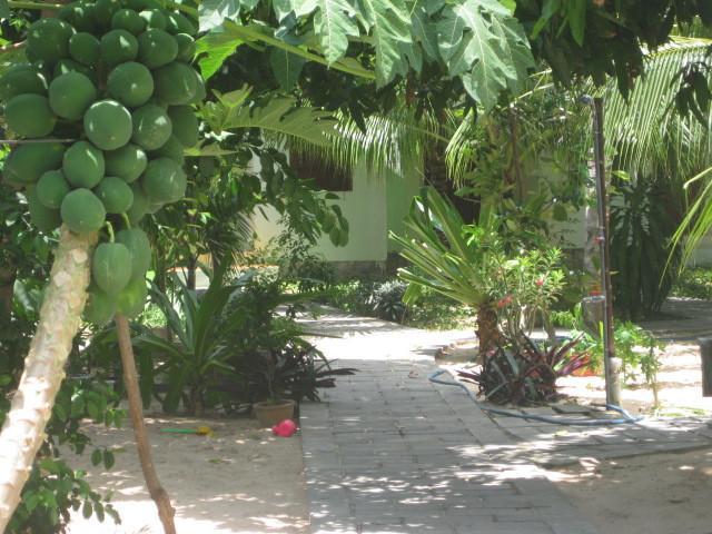 Cocosand Hotel Phan Thiet Exterior photo